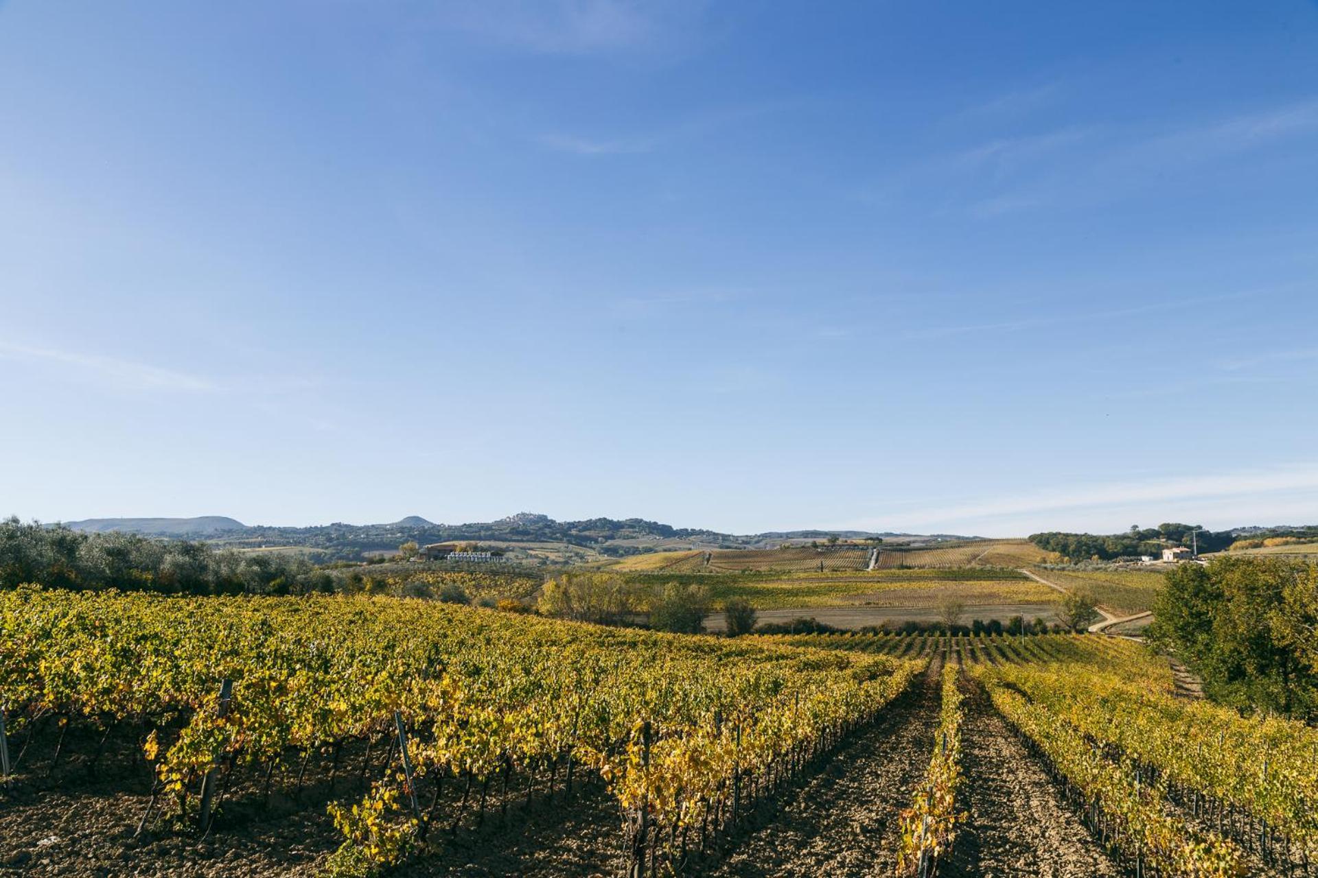 L'Orto Di Panza Bed & Breakfast Abbadia di Montepulciano ภายนอก รูปภาพ